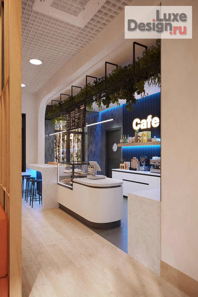 Дизайн интерьера лечебного учреждения "Круглогодичный бассейн, кафе" (фото 2)