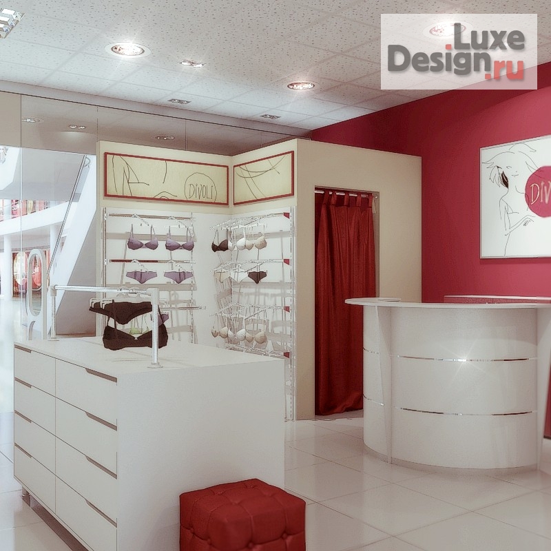 Дизайн интерьера бутика "Бутик женского белья" (фото 3)